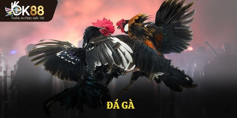 Đá gà
